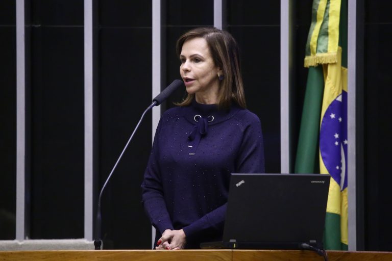 Deputada Professora Dorinha Seabra Rezende (DEM-TO), que apresentou parecer favorável ao projeto. – Foto de Maryanna Oliveira/Câmara dos Deputados
