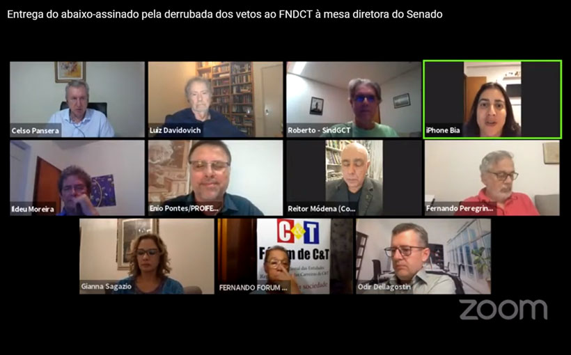 Tela com participantes da live.